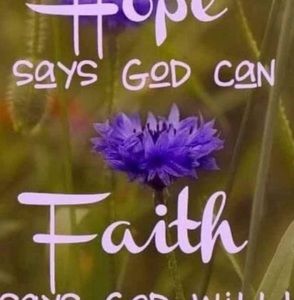 Meet your Posher, Iris